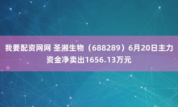 我要配资网网 圣湘生物（688289）6月20日主力资金净卖出1656.13万元