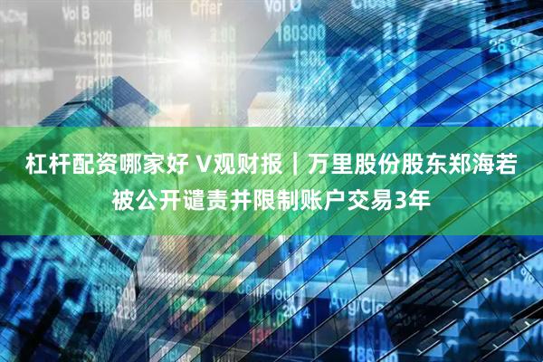 杠杆配资哪家好 V观财报｜万里股份股东郑海若被公开谴责并限制账户交易3年
