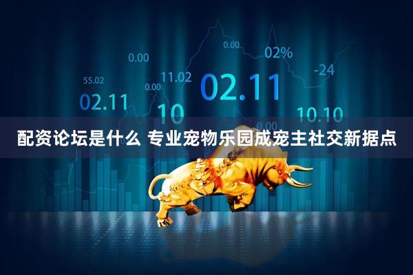 配资论坛是什么 专业宠物乐园成宠主社交新据点